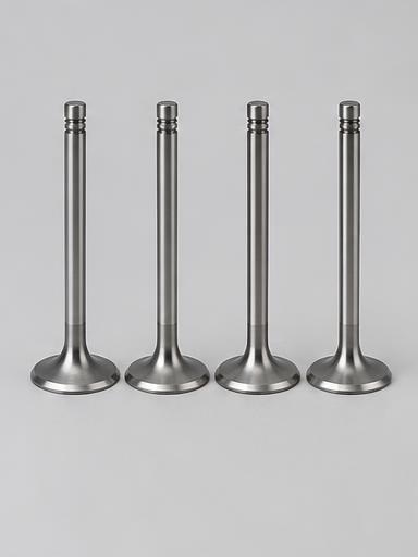 Engine Valves